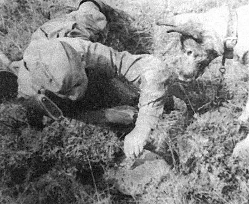 Учения по разминированию Стрельна база служебного собаководства Сложная - фото 12