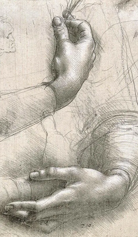 Леонардо да Винчи Этюд рук Деталь Ок 1490 Windsor Royal Collection Trust - фото 103