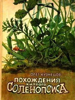 Олег Кузнецов - Похождения хитрого Соленопсиса [Рассказы]