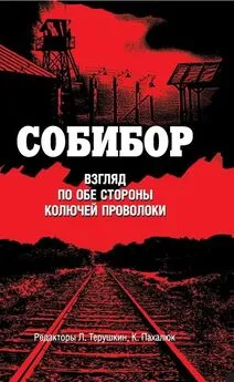 Коллектив авторов - Собибор. Взгляд по обе стороны колючей проволоки