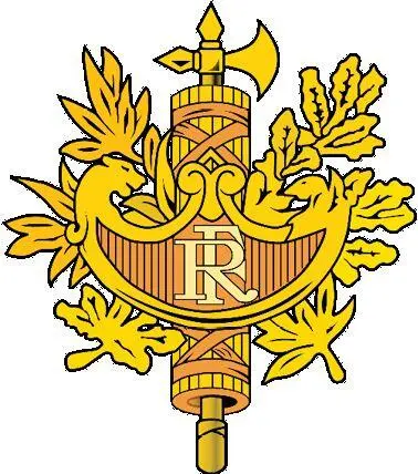 Рис 214 Эмблема Франции В настоящее время в государстве обсуждается вопрос - фото 56