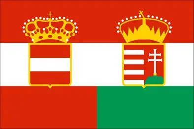 Рис 310 Флаг АвстроВенгрии На нем совмещены австрийский флаг ближе к - фото 126