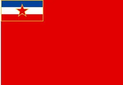 Рис 317 Флаг Социалистической Республики Босния и Герцеговина в составе - фото 133