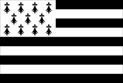 Рис 456 Флаг региона Бретань Франция А что изображено в крыже флага - фото 237