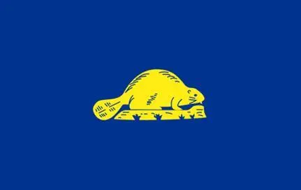 Рис 459 Оборотная сторона флага штата Орегон США Своеобразным оформлением - фото 240