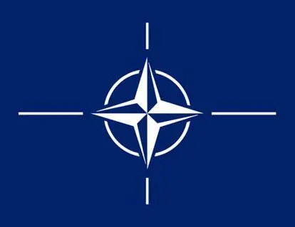 Рис 465 Флаг НАТО Общий надгосударственный смысл имеет Флаг Европы - фото 246