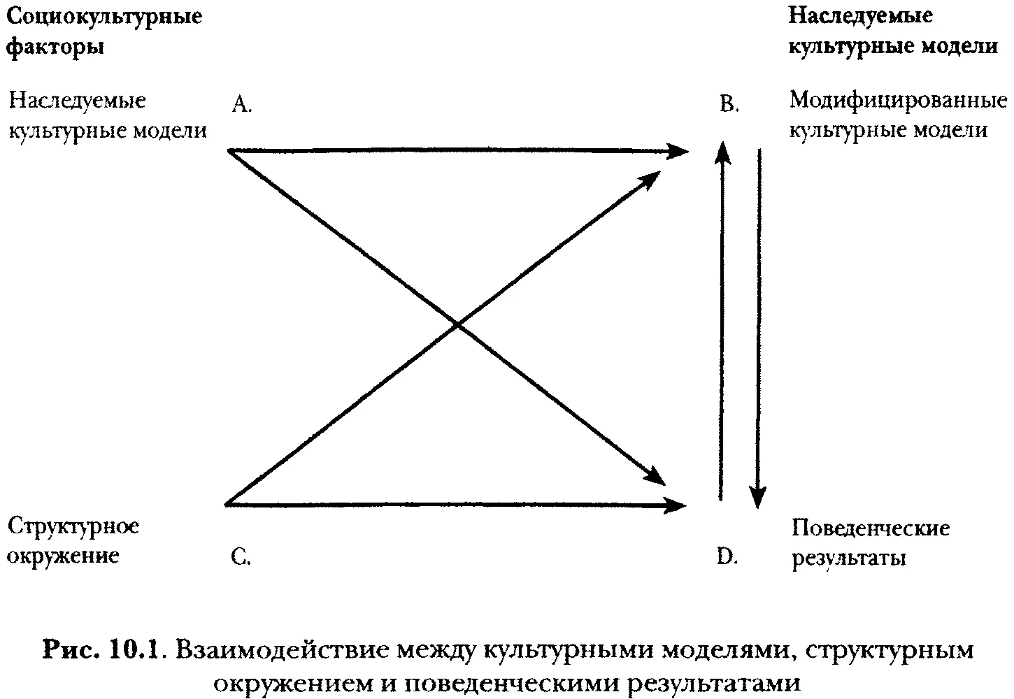 Точка А унаследованная культурная модель это взаимоотношения между - фото 15