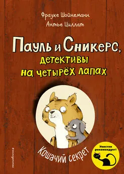 Фрауке Шойнеманн - Кошачий секрет