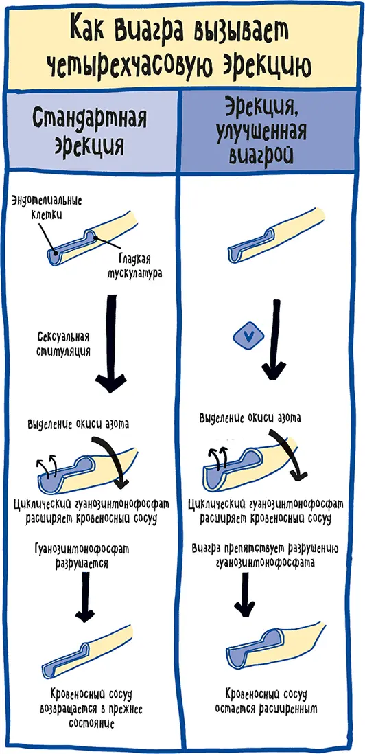 В августе 2015 г FDA одобрило препарат флибансерин о чем тут же возвестили - фото 43