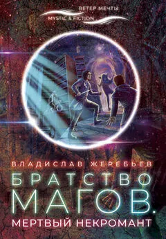 Владислав Жеребьёв - Братство магов. Мертвый некромант [litres]