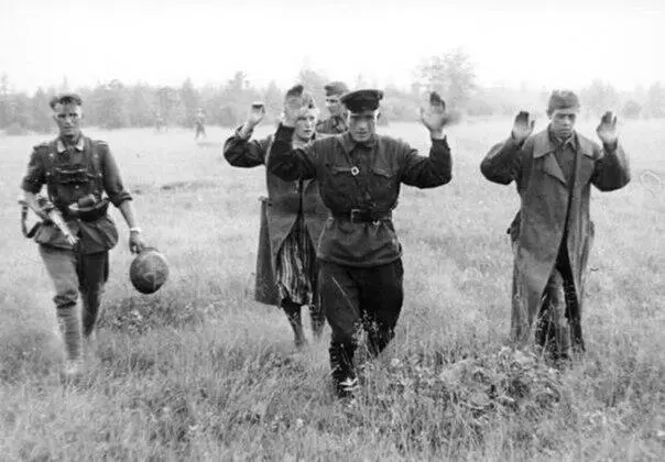 Так на территории Брасовского района Орловской области за две недели до - фото 103