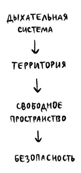 Нос основные функции Получение информации о запахе Нос необходим чтобы - фото 28