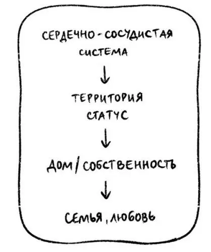 Перикард основные функции Это защитная оболочка сердца оберегает сердце от - фото 38