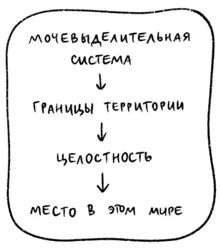 Почки основные функции Почки нужны для выведения из организма воды и - фото 42