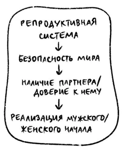 Женские репродуктивные органы Груди основные функции Воспроизводство - фото 52