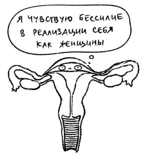 Матка основные функции Позволить эмбрионам закрепиться выносить ребенка - фото 55