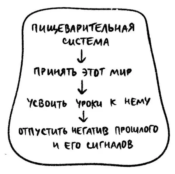 Язык основные функции Помощь при пережевывании общение ощущение вкуса - фото 61