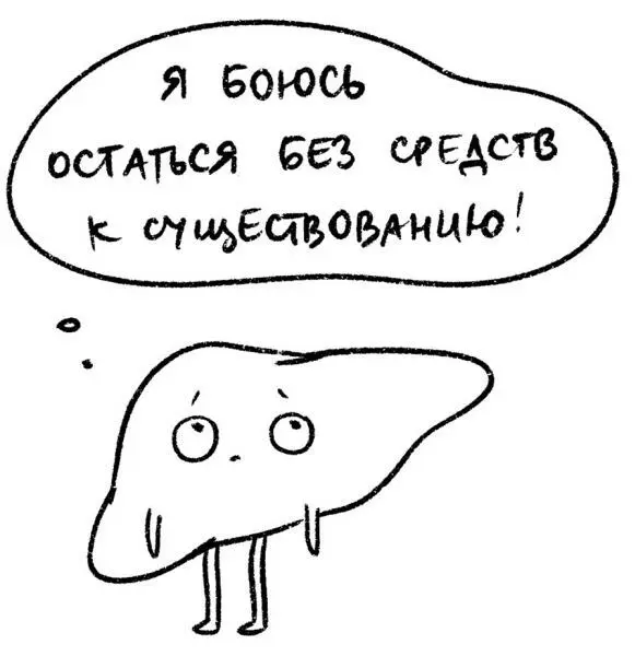 Желчевыводящие пути основная функция Выведение желчи Как метафора - фото 63