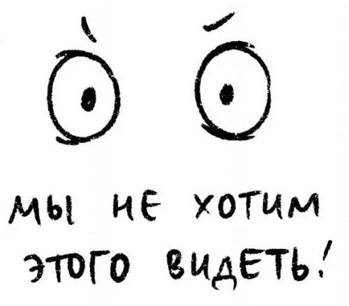 Глаза основная функция Получать зрительную информацию из окружающего мира - фото 65