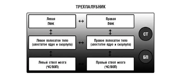 Рис 65 ТрехпалубникТри уровня иерархии префронтальная кора ПФК - фото 16