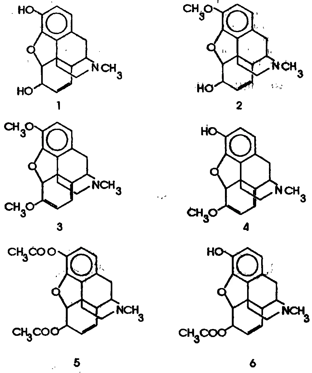 Рис 1 Основные опиаты 1 Морфин 2 Кодеин 3 Тебаин 4 Орипавин 5 - фото 1