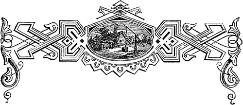 сли вы хотите я вам расскажу отчего на турецких бобах есть маленькие черные - фото 23