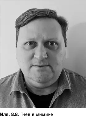 Злость выражается не только в лице но и в теле На илл 89 я сжал челюсти и - фото 51