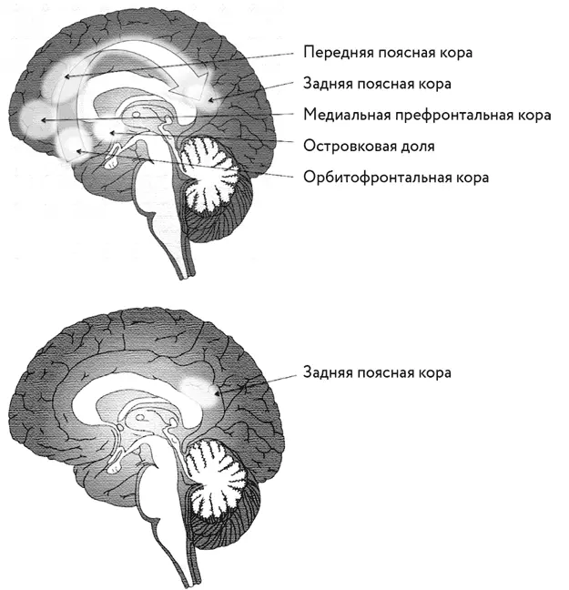 Расположение собственного Я Ирокез самосознания Начиная с передней части - фото 18