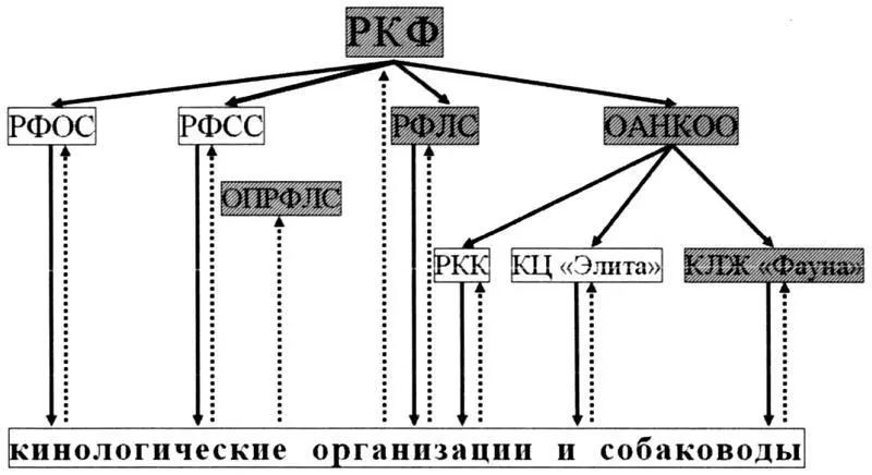 Рис 9 Схема системы РКФ РКФ Союз общественных кинологических - фото 9