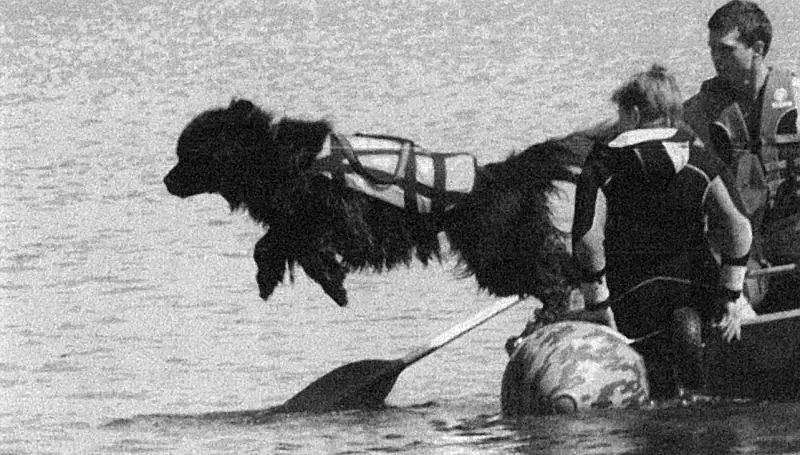 Рис 15 Соревнования по службе спасения на водах Если спорт массовый то - фото 15