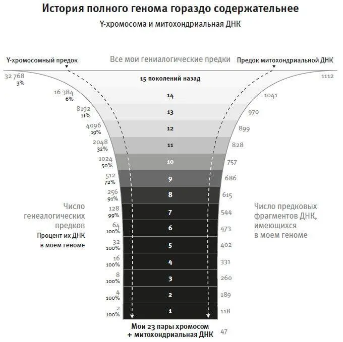 Рис 4С каждым поколением назад в прошлое число моих и ваших предков - фото 6