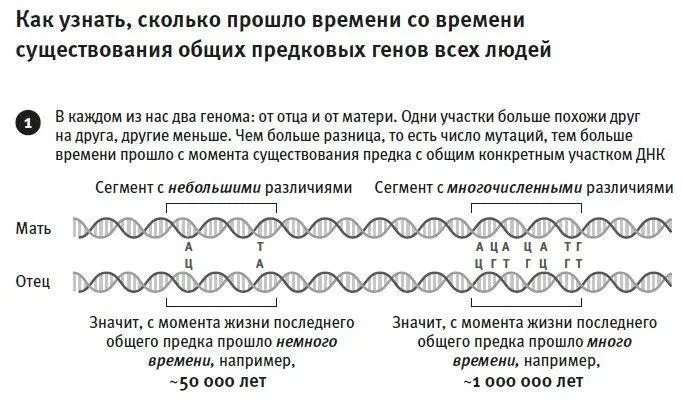 Рис 5 Как мы отказались от простых объяснений посмотрев на дело с - фото 7