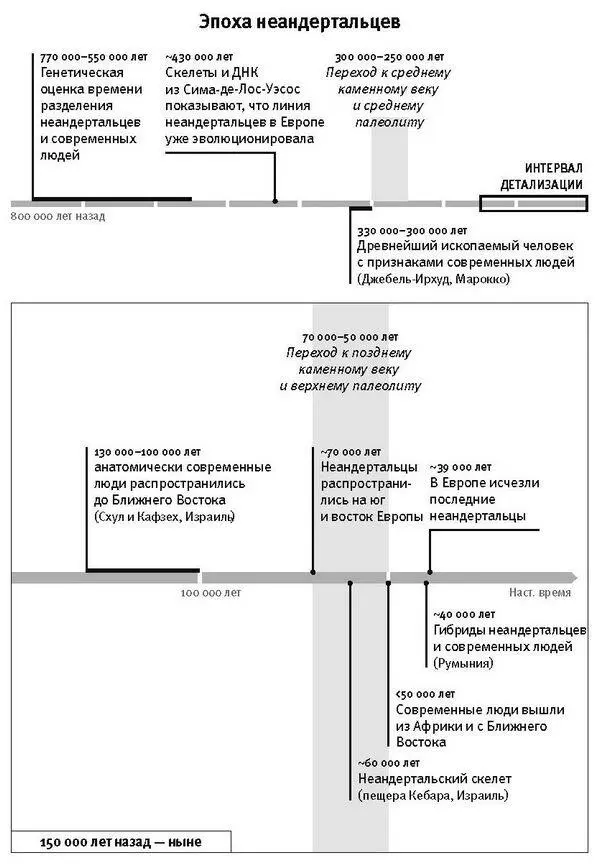 За последующие 150 лет обнаружили множество других скелетов неандертальцев - фото 9