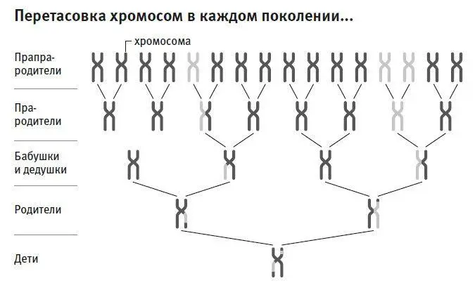 Мы все равно сомневались гадали о чем таком еще не вспомнили что могло бы - фото 12