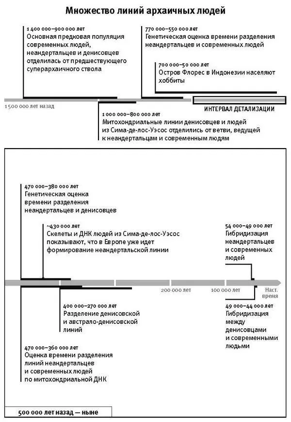 Но что это за группа никто не знал Ни скелетов ни каменных орудий того или - фото 15