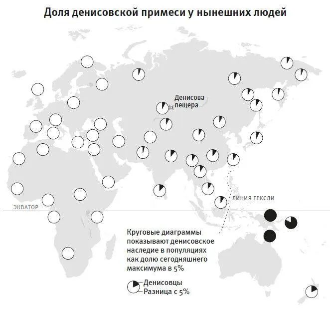 Рис 10Примерная пропорция неандертальской и денисовской примеси в сегодняшних - фото 16