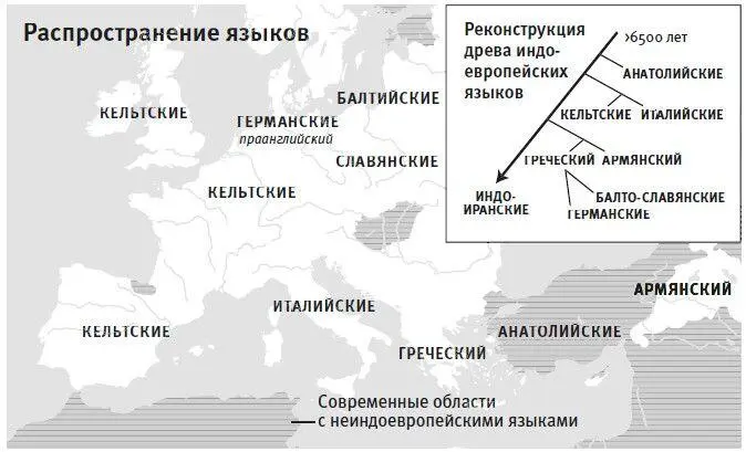 Рис 14бПочти все европейские языки входят в индоевропейскую языковую семью - фото 24