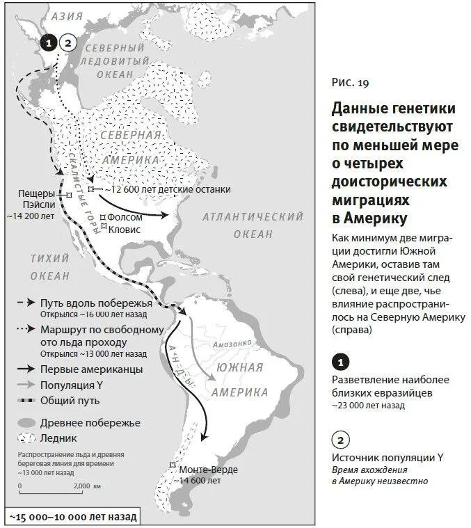 Очень многие ученые и сегодня разделяют убеждение что человек прибыл в - фото 32