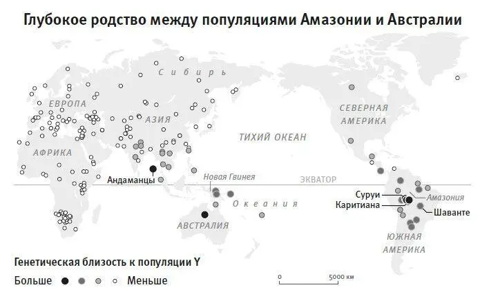 Рис 21Несмотря на огромные расстояния популяции Амазонии обнаруживают более - фото 35