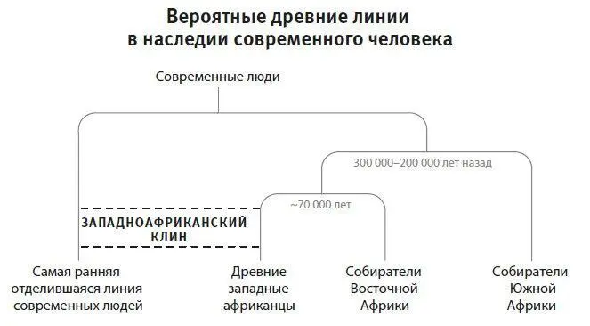 Рис 25Формировавшиеся в глубокой древности родственные связи между нынешними - фото 43