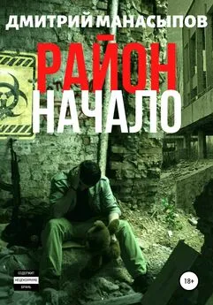 Дмитрий Манасыпов - Район: начало