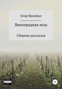 Егор Малейко - Виноградная лоза. Сборник рассказов