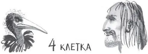 Сергей подхватил ведро с мешанкой сачок и толкнул ногой левую дверцу Я - фото 8