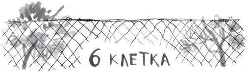 На следующее утро без пяти девять я ждал Сергея у кривой калитки собираясь - фото 14