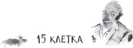 Вопреки желанию Тетериной объявившей монополию на взрослых эму мне всётаки - фото 34