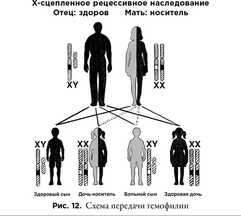 Кстати В английском языке термин mendelism означает всего лишь учение - фото 12