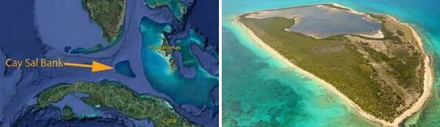 Вот со жратвой вышло хуже продолжал мореман Мы ведь как думали То что - фото 112