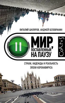 Анджей Беловранин - Мир, поставленный на паузу. Страхи, надежды и реальность эпохи коронавируса [Страхи, надежды и реальность эпохи коронавируса] [litres]