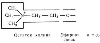 3 Абсолютная специфичностьхарактеризует ферменты действующие только на один - фото 101