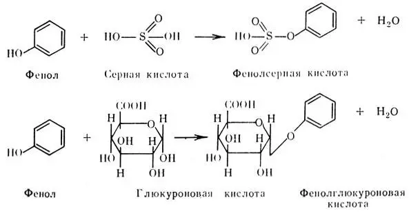 Калиевая соль индоксилсерной кислоты называется животным индиканом и выделяется - фото 185
